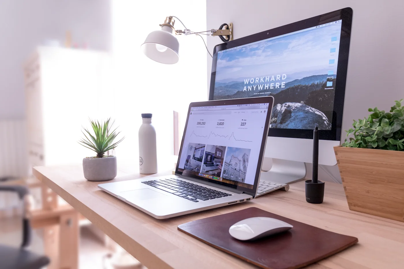 Organized desk with computer screens and a small plant